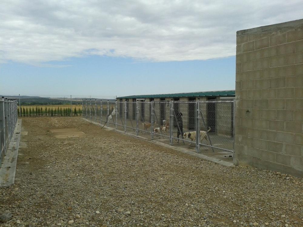 Imagen NÚCLEO ZOOLÓGICO